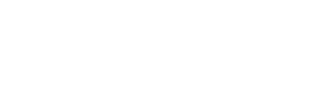 Ferio wordmark